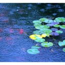 희망의 나무 休 이미지