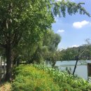 서랑동문화마을 이미지