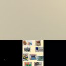 안심초교병설유치원 이미지