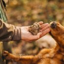 뉴해안풍경 이미지