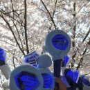 다정슈퍼 | 슈퍼쇼10 앙콘 뒤늦은 후기