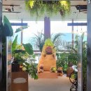 동면 작은도서관 이미지