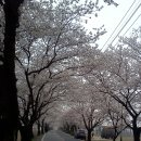 용연사길 이미지