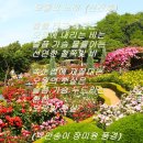 오월 티스토리