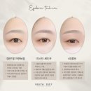 브로우디프