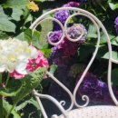 THE쉼(더쉼) 이미지