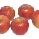 몸에 좋은 과일 사과, 배, 포도 고르는 법 이미지