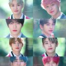 사랑비디오 이미지