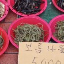 원산보건진료소 Daum카페