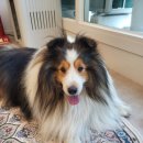 그루밍140 이미지