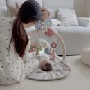 체육관 | [100일 선물 추천] 하베브릭스 아기체육관 솔직 후기! 신생아 장난감으로 딱이에요