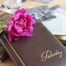 우주동물병원 이미지