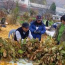 [농방-30차시] 서리태ㆍ무 수확하기 이미지