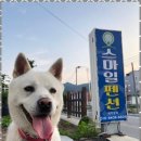 스마일펜션 | 3사단수료식펜션 편안함이 가득한 스마일 펜션 후기