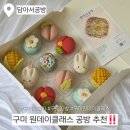 봉곡동245 | 🍡 구미 원데이클래스 추천! 구미 화과자 공방 담아서공방에서 직접 만든 화과자 12구 세트 체험 후기 💗