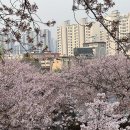 신석체육공원 입구 이미지