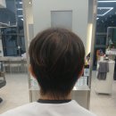 안나무스 | 💈 울산 리젠트펌 잘하는곳 — 헤어르뽀렘 신정2호점 안나쌤 시술 후기