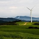 정수목장 이미지