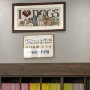 허동물병원 이미지