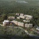 파인트리 이미지