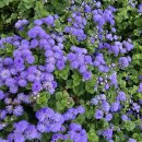 신구대학교 이미지