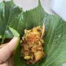 신초평가든