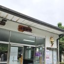 구절리역 | 정선 레일바이크 4인승 탑승 후기 예약 필수