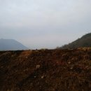 솔바우농장 이미지