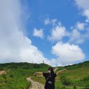 인제16-2 이미지