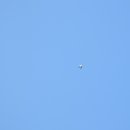 너울공원 이미지