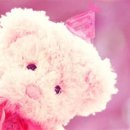 카페 자주 Daum카페