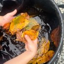 효자 태권도장 | 10월 기록