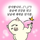 알파에듀