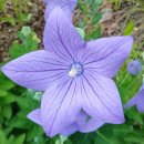 뚝섬한강공원-29 이미지