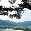 남해랑바다랑 이미지