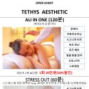 테디스 에스테틱
