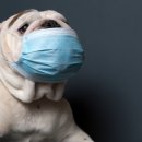 비에스케이 이미지