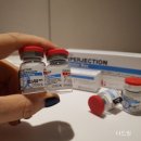 흉터재생 집중 슈퍼젝션10회 등록시 시그니엘 식사권 2인 (50만원상당)증정 이벤트 -다드림피부연구소
