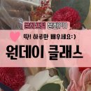 도안 더 블루힐 이미지