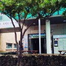 서귀포시 동홍동 주민센터 이미지