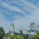 패밀리공원 | 광주 놀이공원 패밀리랜드 자유이용권 할인 어트랙션 추천 평일 방문 후기