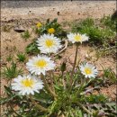 안담농장 이미지