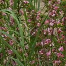 부모교육상담사2급 이미지