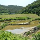 산양일주로 이미지