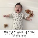 아기 원목장난감 숲소리 악기세트 내돈내산 후기