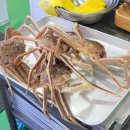 청담물회 이미지