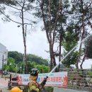 브니엘유치원 이미지