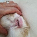 더나은메디칼 이미지