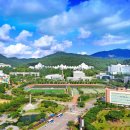 조선대학교 이미지