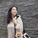 어반퍼피